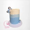 Pastel Colored Cakes from Cravery's Cake Shop Birmingham. A delicate and beautiful cake featuring soft pastel hues for your celebration.