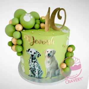 10th Birthday Cake | Cake Shop Aston, The Cravery 10th Birthday Cake with pet inspired decorations from The Cravery cake shop Aston