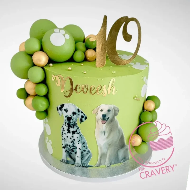 10th Birthday Cake | Cake Shop Aston, The Cravery 10th Birthday Cake with pet inspired decorations from The Cravery cake shop Aston