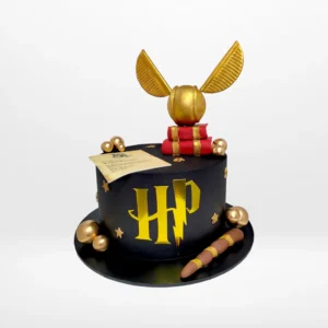 Harry Potter Cake from Cake Shop Northfield